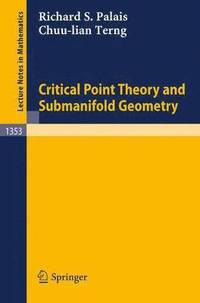 bokomslag Critical Point Theory and Submanifold Geometry