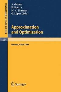 bokomslag Approximation and Optimization