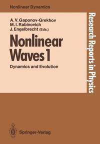 bokomslag Nonlinear Waves 1