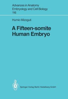 Fifteen-somite Human Embryo 1