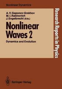 bokomslag Nonlinear Waves