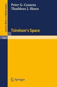 bokomslag Tsirelson's Space