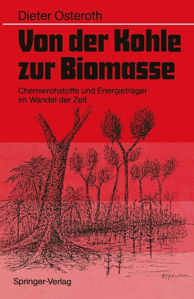 bokomslag Von der Kohle zur Biomasse