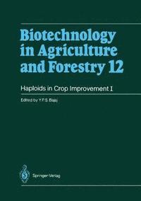 bokomslag Haploids in Crop Improvement I
