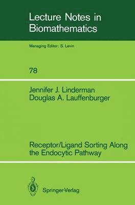 Jennifer J. Linderman, Douglas A. Lauffenburger - Receptor/Ligand Sorting Along the Endocytic Pathway, Häftad