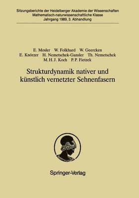 bokomslag Strukturdynamik nativer und knstlich vernetzter Sehnenfasern