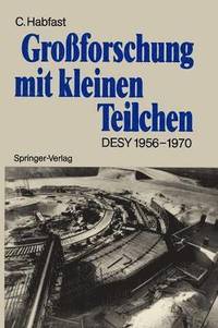 bokomslag Großforschung mit kleinen Teilchen