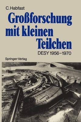 bokomslag Großforschung mit kleinen Teilchen