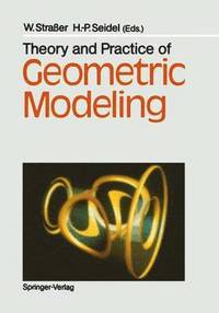 bokomslag Theory and Practice of Geometric Modeling