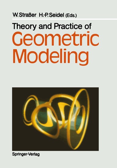 Wolfgang Straßer, Hans-Peter Seidel - Theory and Practice of Geometric Modeling, Inbunden