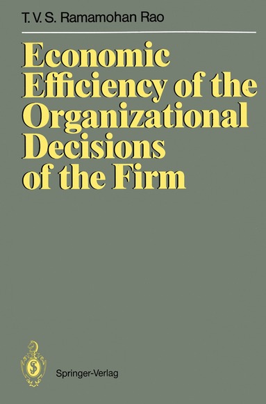 bokomslag Economic Efficiency of the Organizational Decisions of the Firm