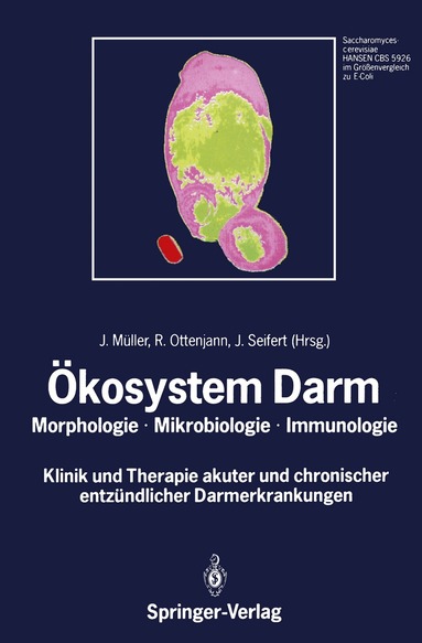 J. Müller, R. Ottenjann, J. Seifert - Ökosystem Darm, Häftad