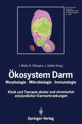 kosystem Darm 1