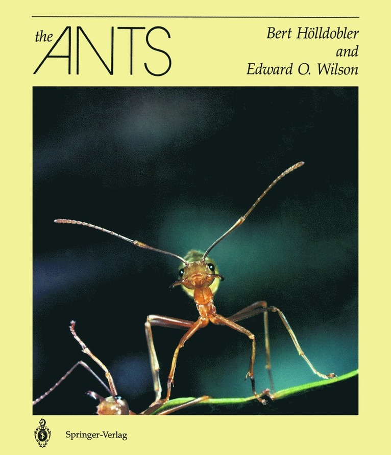 Bert Hölldobler, Edward O. Wilson - Ants, Inbunden