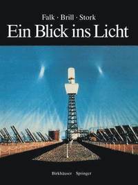 bokomslag Ein Blick ins Licht