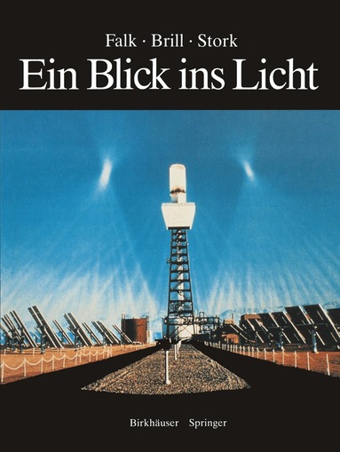 David S. Falk, Dieter R. Brill, David G. Stork - Ein Blick ins Licht, Häftad