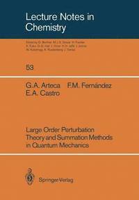 bokomslag Large Order Perturbation Theory and Summation Methods in Quantum Mechanics