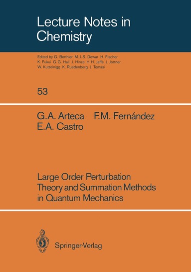 Gustavo A. Arteca, Francisco M. Fernandez, Eduardo A. Castro, Gustavo Arteca, Francisco Fernandez - Large Order Perturbation Theory and Summation Methods in Quantum Mechanics, Häftad
