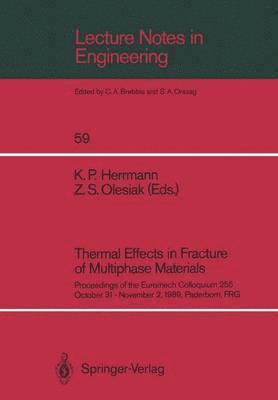 bokomslag Thermal Effects in Fracture of Multiphase Materials