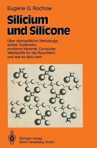 bokomslag Silicium und Silicone