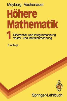 Kurt Meyberg, Peter Vachenauer - Höhere Mathematik, Häftad