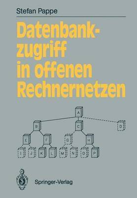 bokomslag Datenbankzugriff in offenen Rechnernetzen