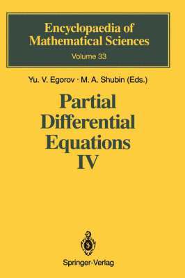 bokomslag Partial Differential Equations IV