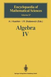 bokomslag Algebra IV