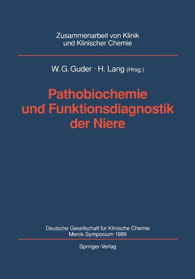 Walter G. Guder, Hermann Lang - Pathobiochemie und Funktionsdiagnostik der Niere, Häftad