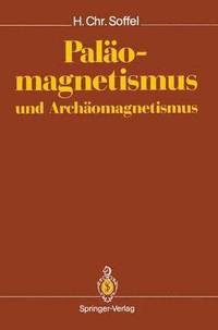 bokomslag Palomagnetismus und Archomagnetismus