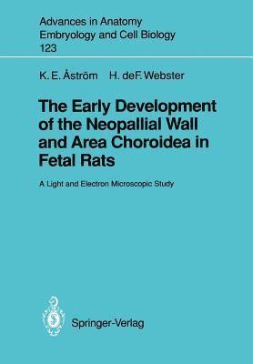 Early Development of the Neopallial Wall and Area Choroidea in Fetal Rats