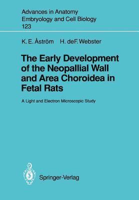 The Early Development of the Neopallial Wall and Area Choroidea in Fetal Rats 1
