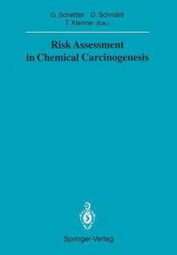bokomslag Risk Assessment in Chemical Carcinogenesis