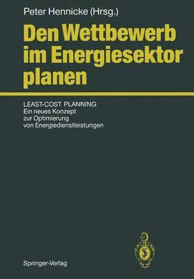 bokomslag Den Wettbewerb im Energiesektor planen