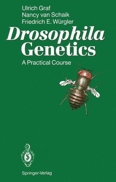 bokomslag Drosophila Genetics