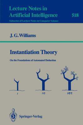 bokomslag Instantiation Theory