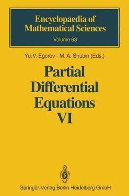 bokomslag Partial Differential Equations VI