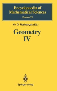 bokomslag Geometry IV