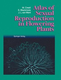 bokomslag Atlas of Sexual Reproduction in Flowering Plants