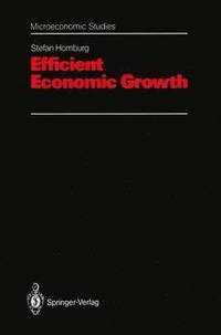 bokomslag Efficient Economic Growth