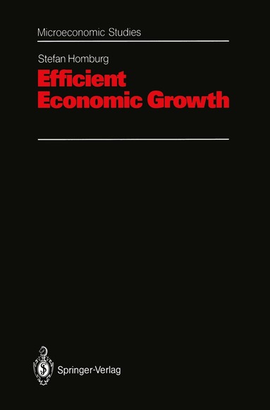Stefan Homburg - Efficient Economic Growth, Inbunden