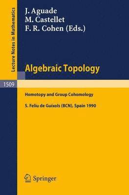 bokomslag Algebraic Topology