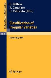 bokomslag Classification of Irregular Varieties