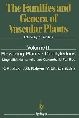 bokomslag Flowering Plants  Dicotyledons