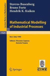 bokomslag Mathematical Modelling of Industrial Processes
