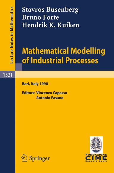 Stavros Busenberg, Bruno Forte, Hendrik K. Kuiken, Vincenzo Capasso, Antonio Fasano - Mathematical Modelling of Industrial Processes, Häftad