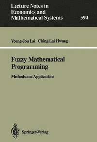 bokomslag Fuzzy Mathematical Programming