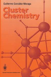 bokomslag Cluster Chemistry
