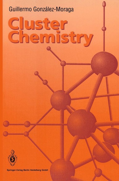 bokomslag Cluster Chemistry