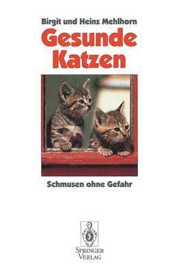 Gesunde Katzen 1